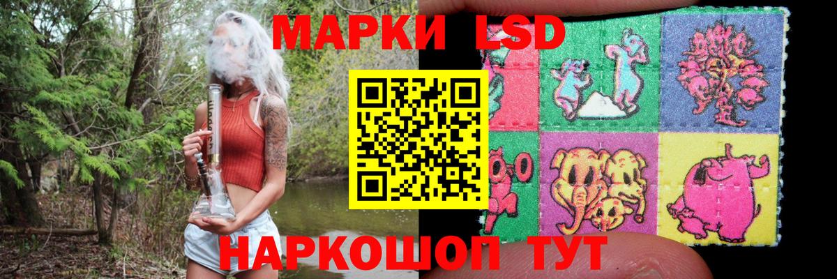 Конопля Гуково